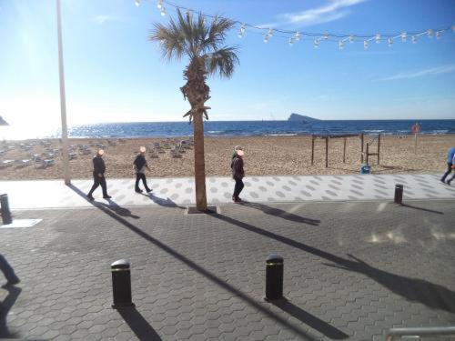 Apartamento Turistico Galeno Apartment Benidorm